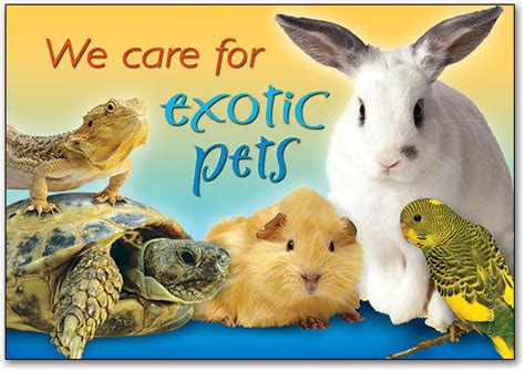 Exotic Pets 3 Up Laser Card SmartPractice Veterinary