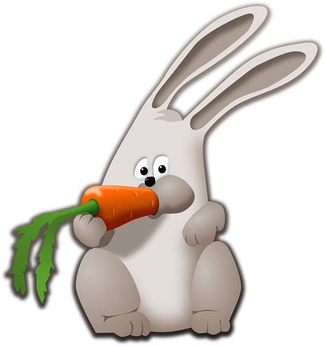 Animalbunnycarroteathare Free Image From