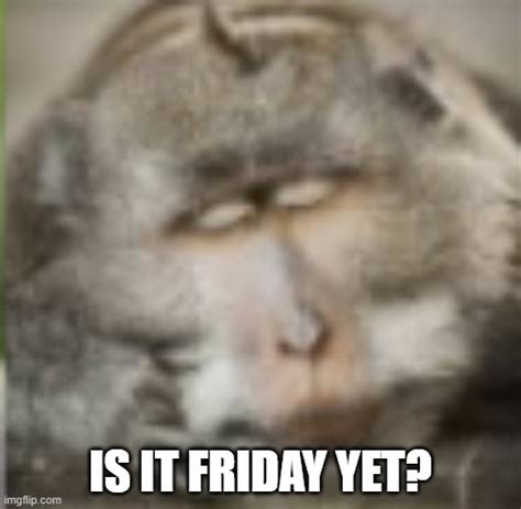 Is It Friday Yet Imgflip