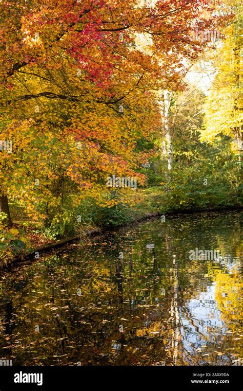 Autumn In The Tiergarten Park In Berlin Stock Photo Alamy