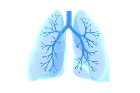 Now Enrolling Eaq172 For Treatment Of Lung Inflammation In Patients