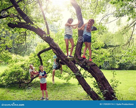 Happy Kids Climbing Up Tree In Summer Park Stock Photo Image Of