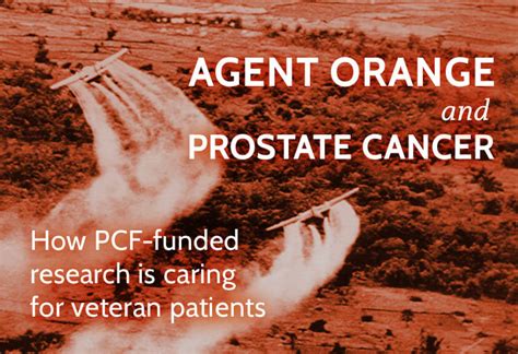 Agent Orange And Prostate Cancer Prostate Cancer Foundation