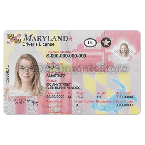 Maryland Driver License Psd Psd Documents Store