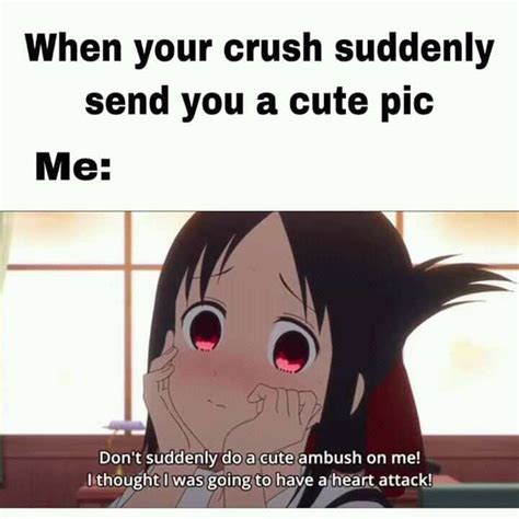 Cute Funny Memes For Crush