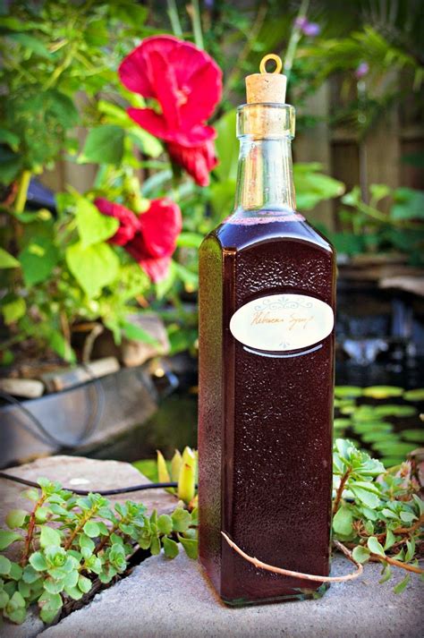 There are other species of hibiscus with edible flowers, but no other species has a similar medicinal and edible calyx. How to Tuesday - Hibiscus Syrup | Hibiscus syrup, Hibiscus ...