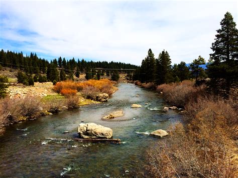 Hiking In Truckee At The Truckee River