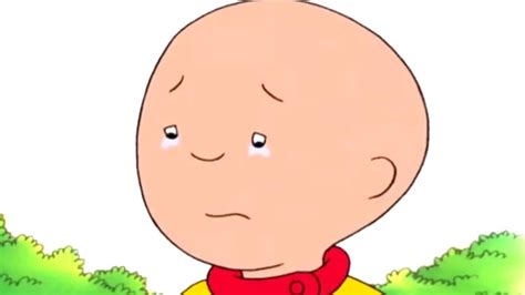 The Real Reason Why Caillou Is Bald
