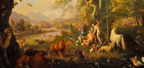 What Does The Bible Actually Say About Adam And Eve Faraday