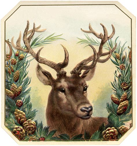 White Christmas Deer Clip Art
