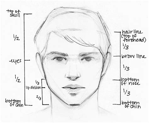 Portrait Drawing Step By Step Guide Drawing Is An Art That Is