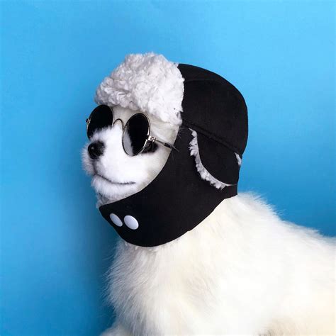 Dogs Trapper Hat Handmade Dog Aviator Hats Dog Caps Puppy Etsy