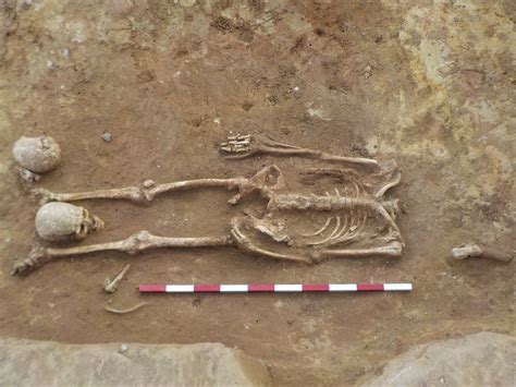 Decapitated Skeletons With Heads Between Their Legs Unearthed In Roman Cemetery Live Science