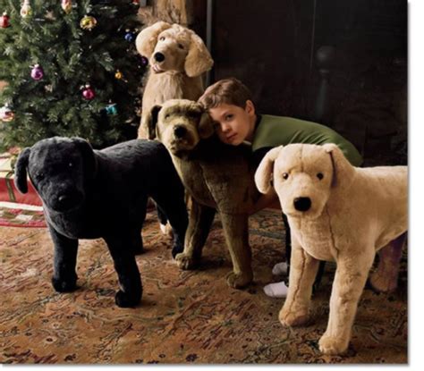 Fully customizable features of dogs, cats, horses and more. Gifts for Children | Stuffed Animals / Lifelike Plush Dogs ...