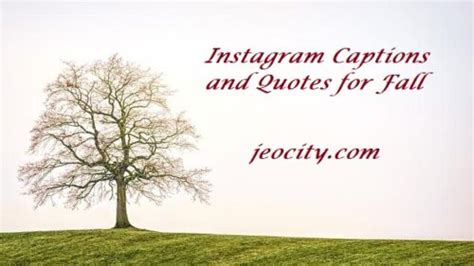 Instagram Captions And Quotes For Fall Jeocity