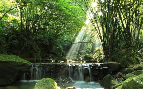 Forest River Waterfall Rocks Moss Sun Rays Wallpaper Nature And