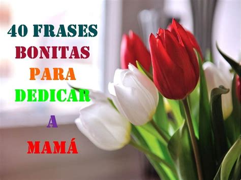 40 Frases Bonitas Para Dedicar A Mama Feliz Dia Mamita