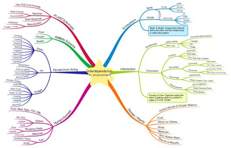 Evs Chapter 4 Interdependence In Environment Ncert Imindmap Mind M