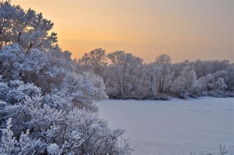 Winter Landscape Free Stock Photo Public Domain Pictures