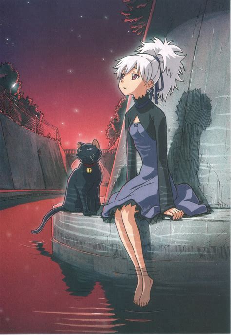 Darker Than Black Yin Mao Cat Anime Old Anime The Last