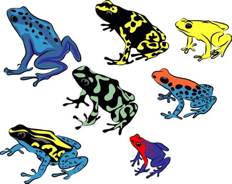 Poison Dart Frogs — Stock Vector © Macropixel 6116344