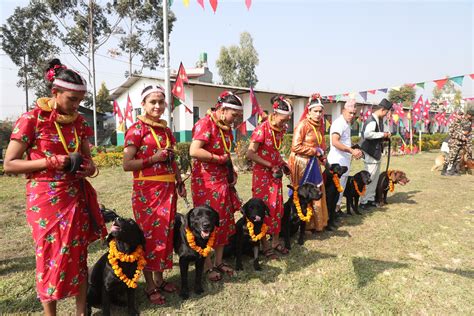 Nepali Army Celebrates Kukur Tihar In Pics Khabarhub