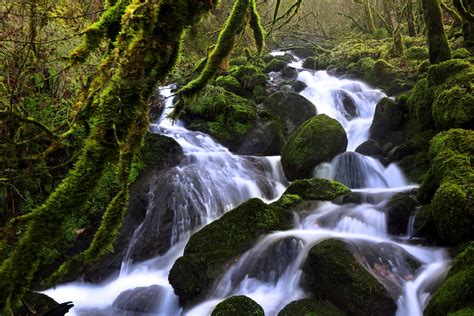 switzerland,-forests,-waterfalls,-stones,-moss,-stream,-soubey,-nature