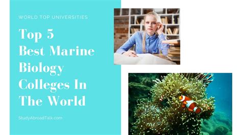 Best Marine Biology Colleges In The World Youtube