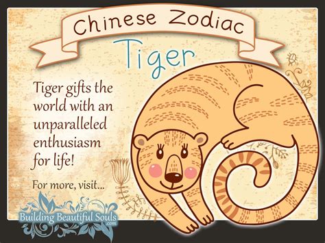 35 Chinese Astrology Fire Tiger Astrology Zodiac And Zodiac Signs