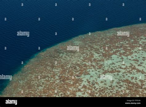 Coral Reefs Maldives Stock Photo Alamy