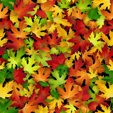 Colorful Autumn Leaves Template Pattern Stock Illustrations 14086