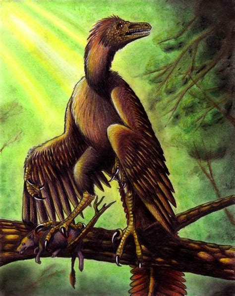 Archaeopteryx Perched On A Branch By Emily Willoughby Prehistoric
