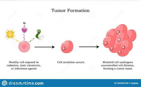 Mutation Of Cells Into Tumors Stock Vector Illustration Of Carcinogen