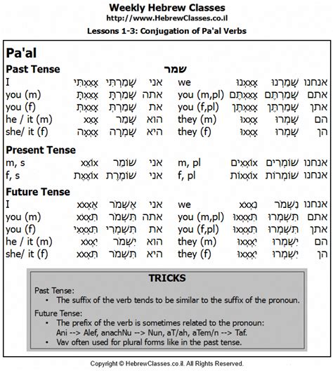 Hebrew Verb Conjugation Table Paal With Nikud Hebrewverbs Learn