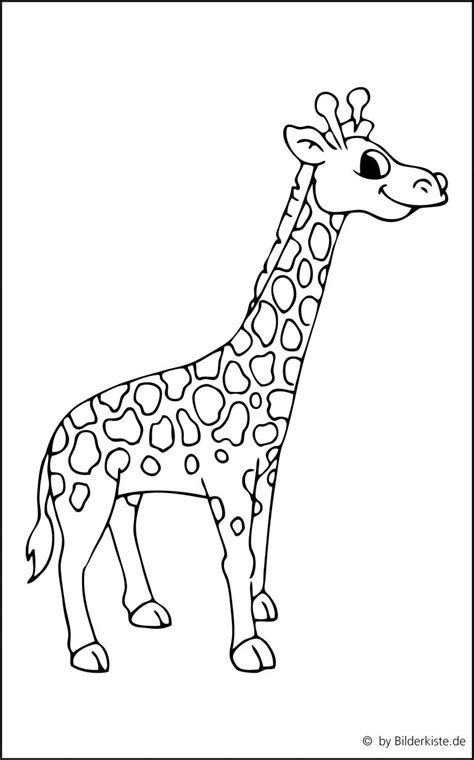 Kostenlose malvorlagen zum ausdrucken und ausmalen. Ausmalbilder Giraffe Kostenlos 1037 Malvorlage Malvorlagen ...