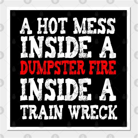 A Hot Mess Inside A Dumpster Fire Inside A Train Wreck Choose From