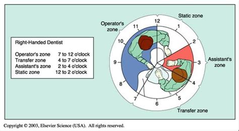 The Basics Of Dental Assisting Flashcards Quizlet