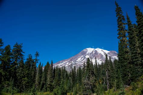 Seattle - Mount Rainier - Adventures of BL