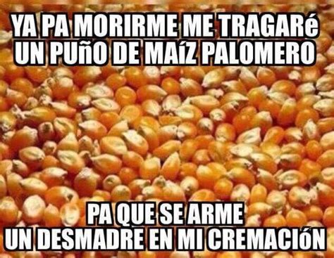 pin de javier chavez en chistoso en español maíz palomero tragos maiz