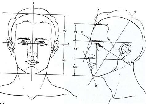 Drawing The Human Head Drawing Heads Face Drawing