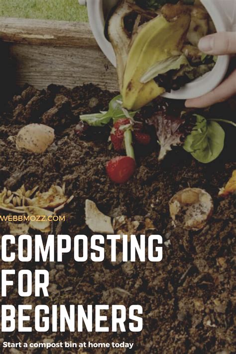 Composting For Beginners How To Start Composting At Home In 2020