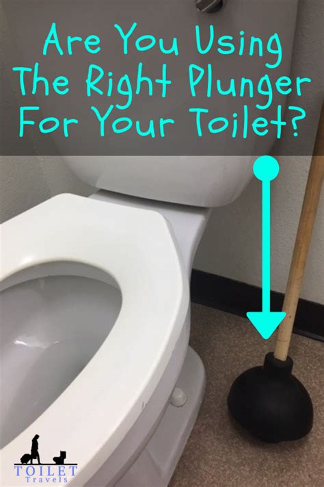 How will different people answer this question? How Do Paralyzed People Use The Bathroom - Girls why do ...