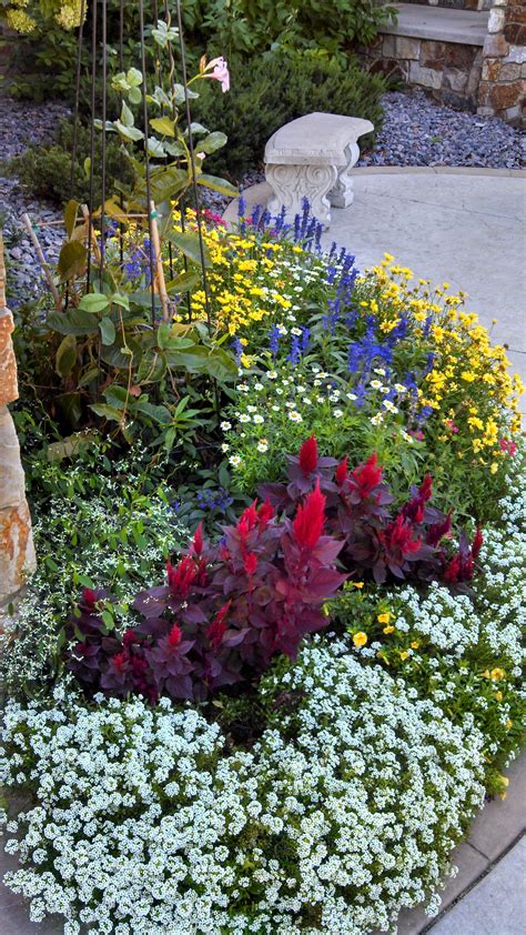 Annual Flower Bed Ideas Image To U