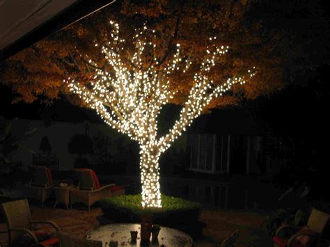How to hang christmas tree lights outdoors. 15 Best Ideas of Hanging Lights on Large Outdoor Tree