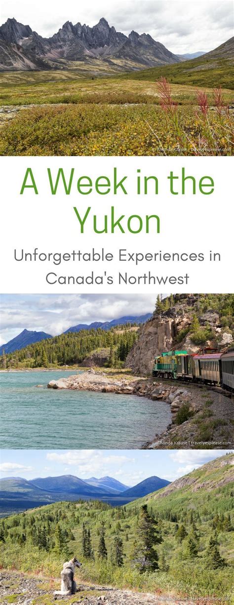 A Week In The Yukon Unforgettable Experiences In Canadas Northwest