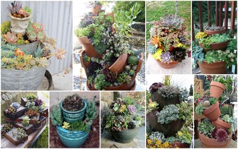 Stacked Succulent Pots You Need To See Today