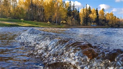 Northern Nature Autumn Storm In Sunny Weather Wave To Lake Forest On