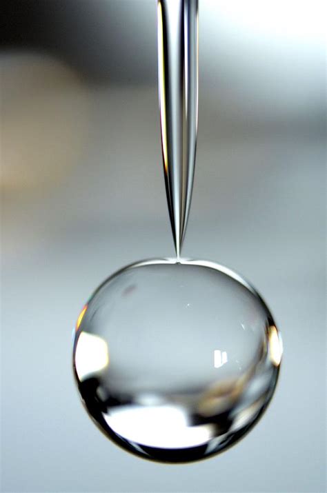 Macro Water Drop Photograph by Ernestas Papinigis