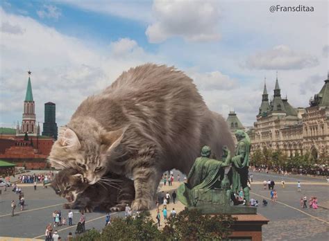 Catzillas Giant Cats In Urban Landscapes Design You Trust — Design