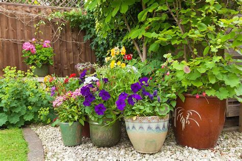 How To Choose Pots For A Patio Container Garden Pro Tips Ideas